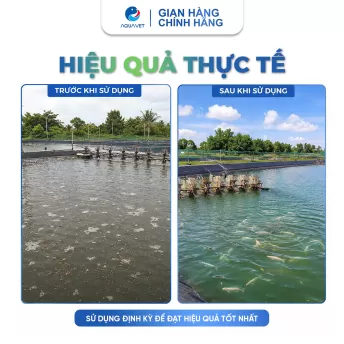 Men Vi Sinh PSB Đậm Đặc